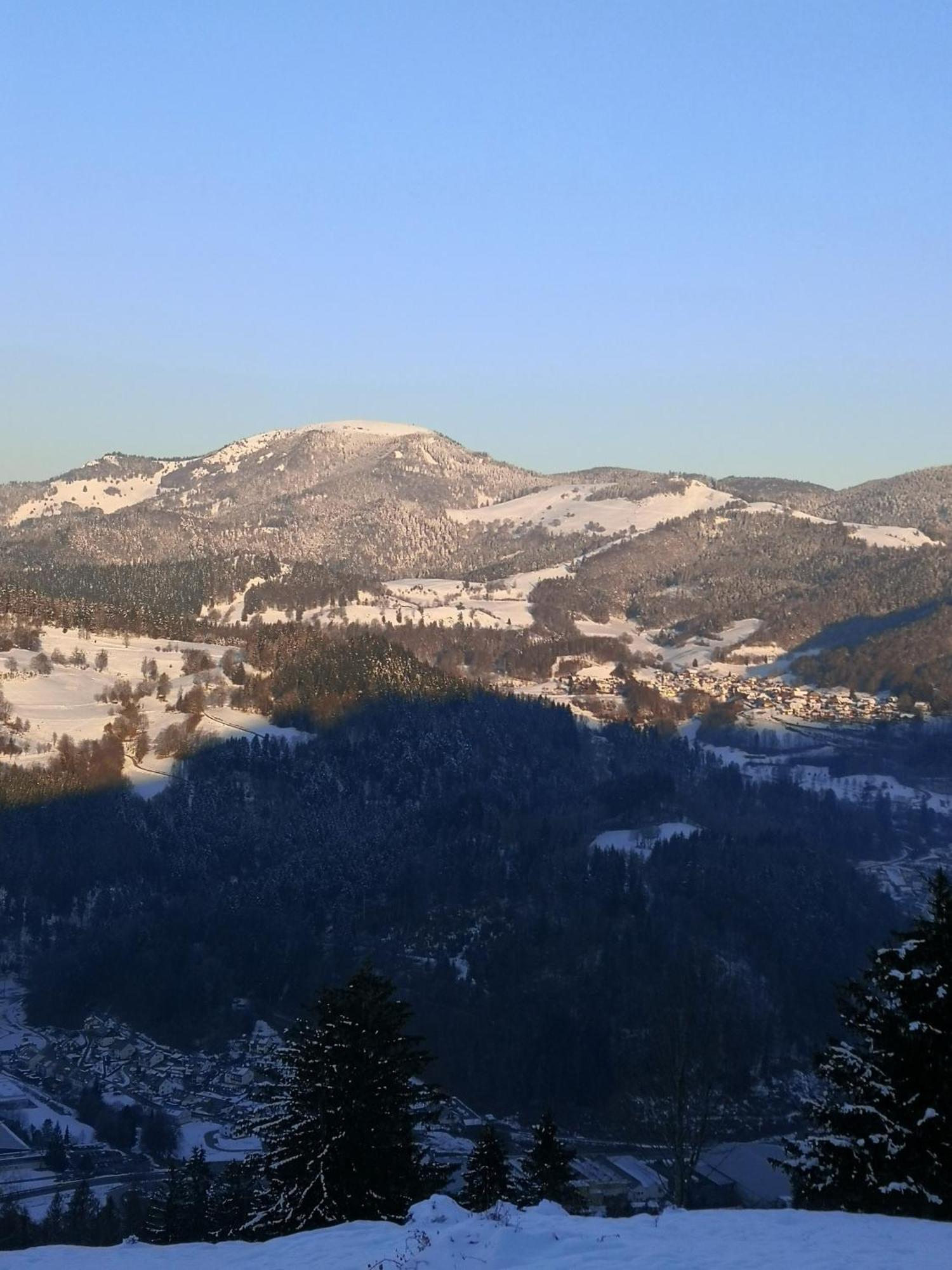 Ferienwohnung Belchenliebe Schonenberg Экстерьер фото