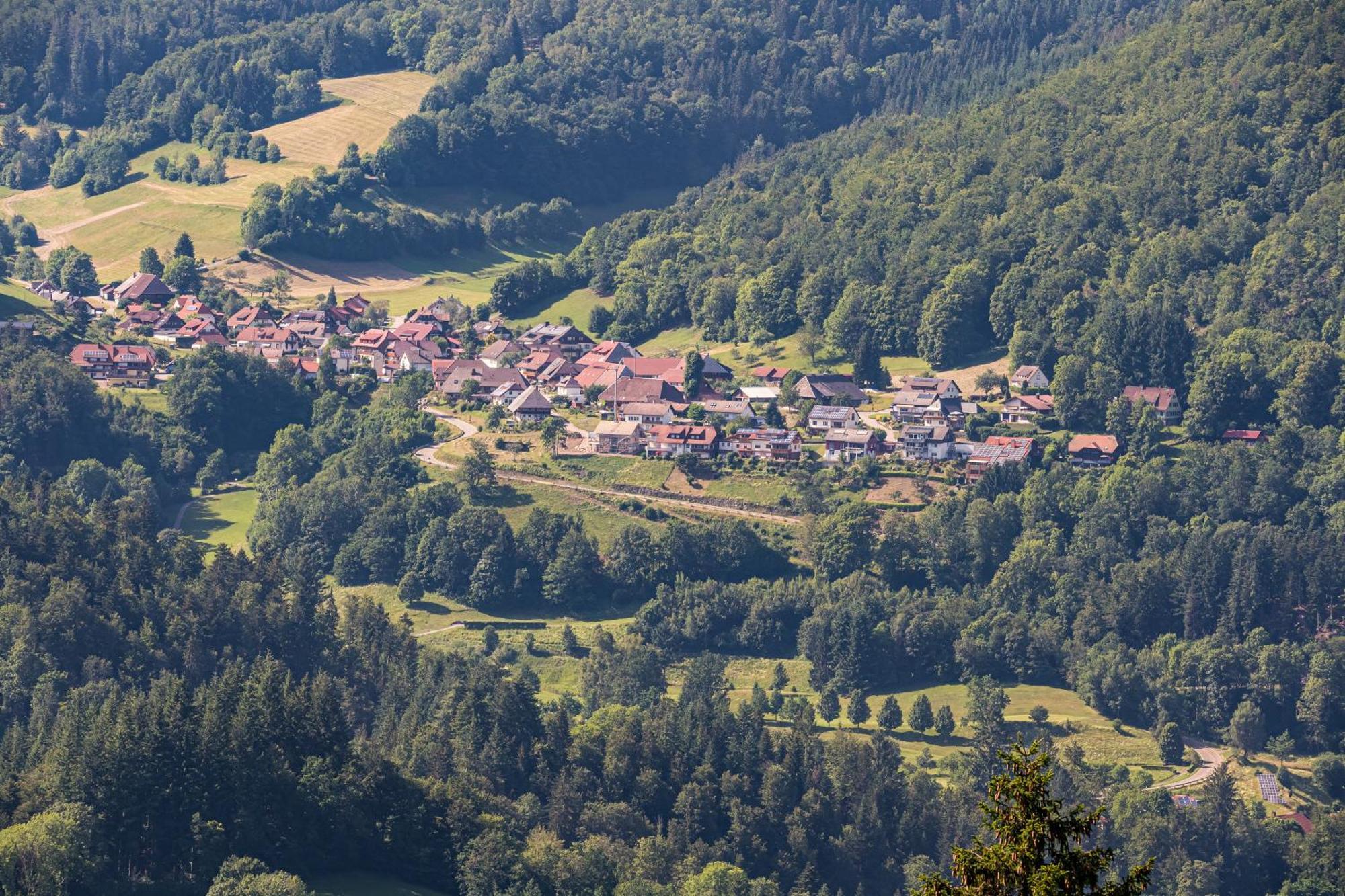 Ferienwohnung Belchenliebe Schonenberg Экстерьер фото