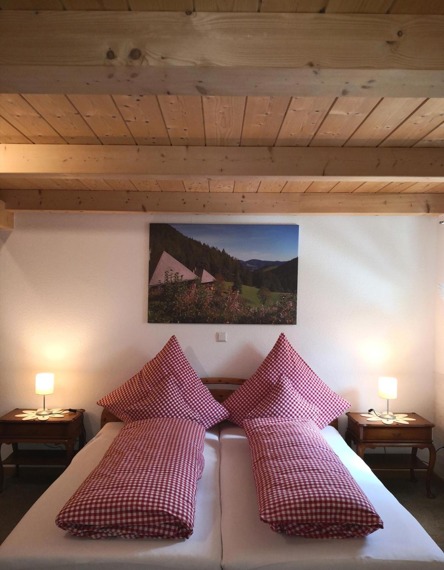 Ferienwohnung Belchenliebe Schonenberg Экстерьер фото