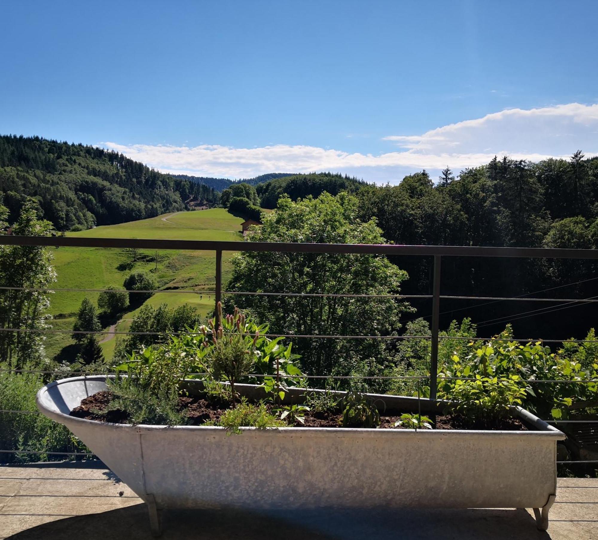 Ferienwohnung Belchenliebe Schonenberg Экстерьер фото